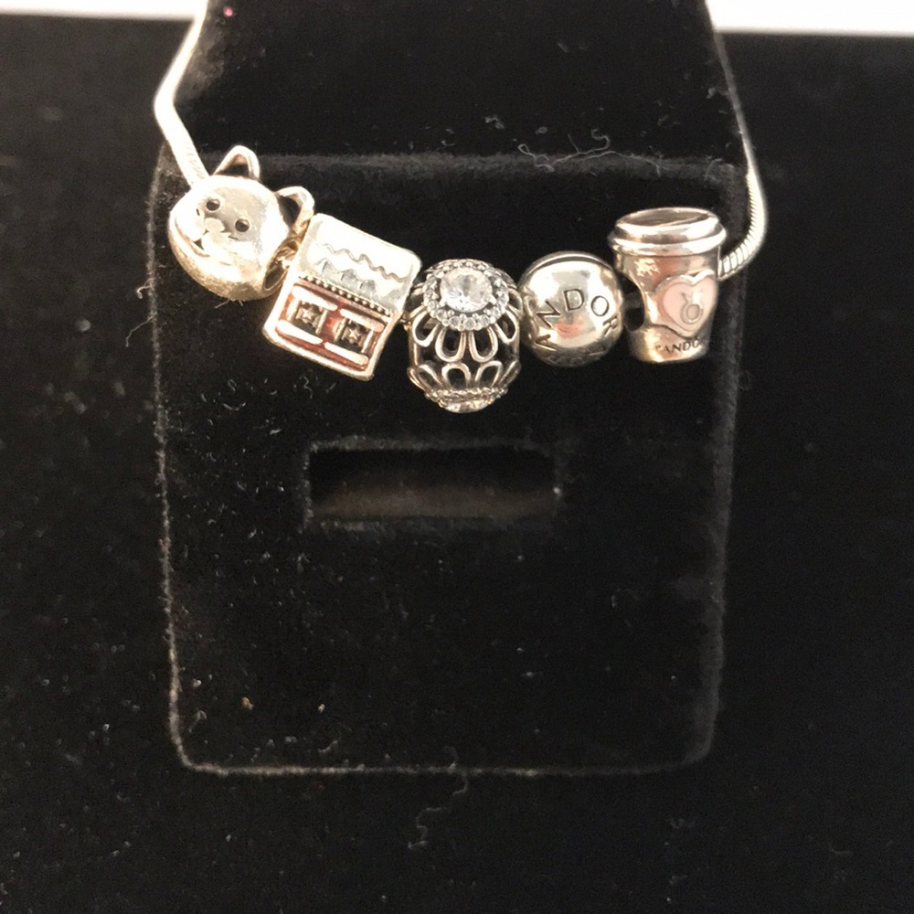 Super cute Pandora bracelet! Comes with 4 charms!